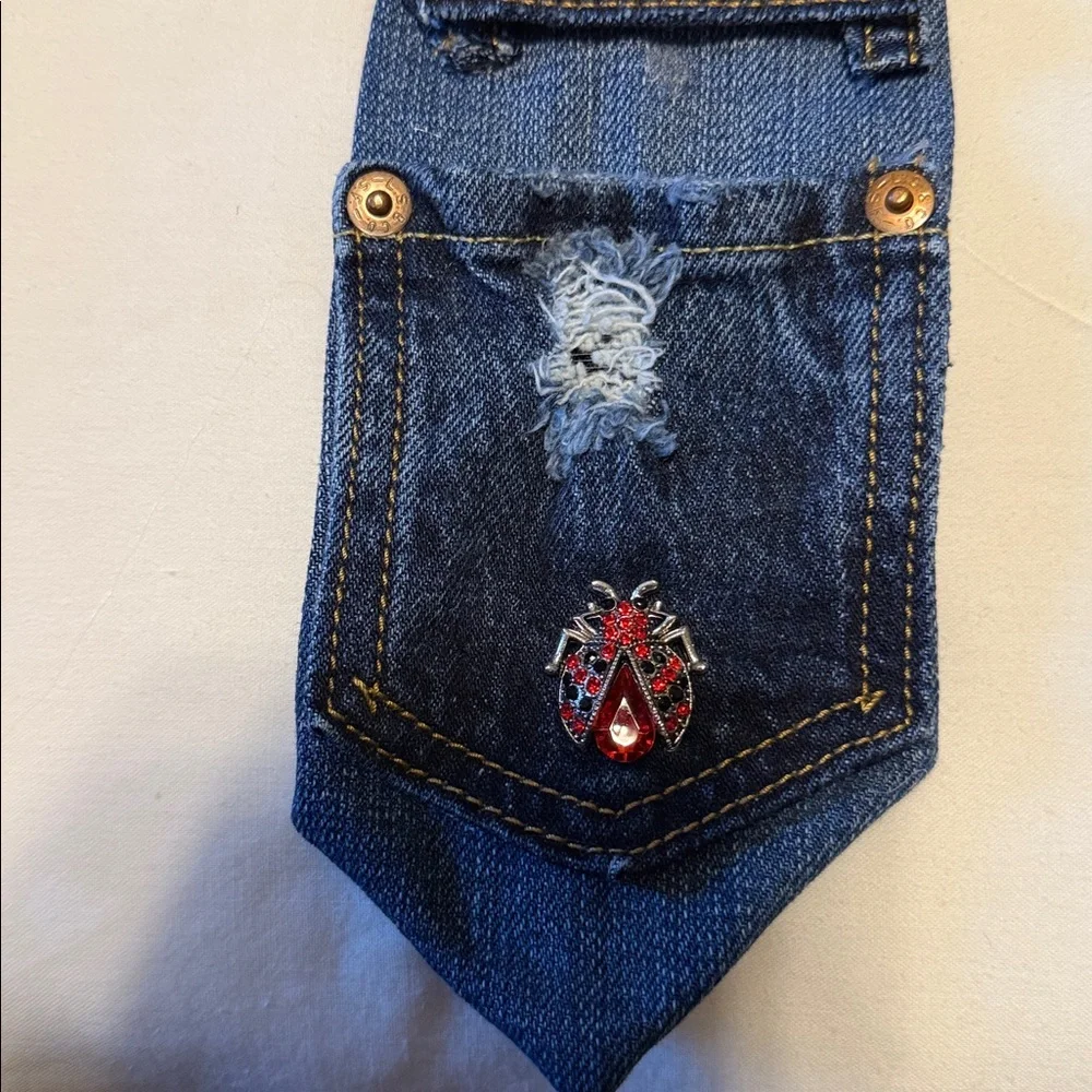 Denim Blue Men's Bag with Ladybug Detail - Picture 3 of 4